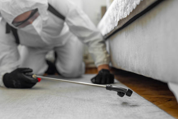 Professional Bed Bug Control technician working in Braham, MN