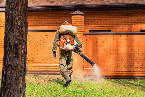 Top rated local Bed Bug Control specialists in Braham, MN